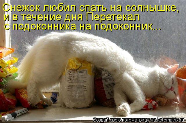 Снежок любил спать на солнышке, и в течение дня Перетекал с подоконника на подоконник...... Котоматрица: Снежок любил спать на солнышке, и в течение дня Перетекал с подоконника на подоконник...
