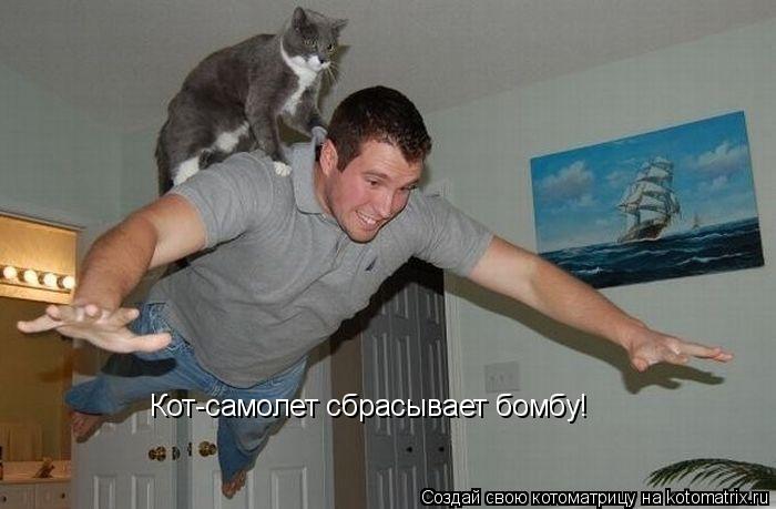 Кот-самолет сбрасывает бомбу!... Котоматрица: Кот-самолет сбрасывает бомбу!