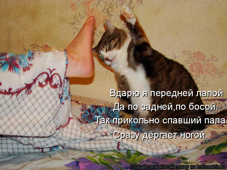 Вдарю я передней лапой Да по задней,по босой. Так прикольно спавший папа Сразу дёргает ногой.... Котоматрица: Вдарю я передней лапой Да по задней,по босой. Так прикольно спавший папа Сразу дёргает ногой.