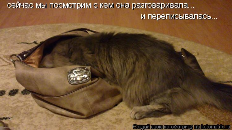 Котоматрица: сейчас мы посмотрим с кем она разговаривала... и переписывалась...