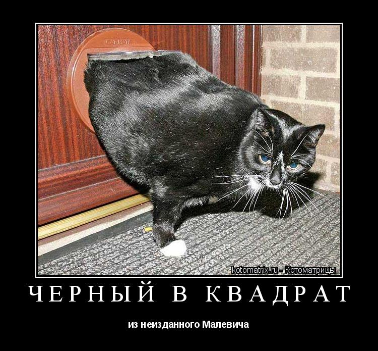 Черный в квадрат из неизданного Малевича... Котоматрица: Черный в квадрат из неизданного Малевича