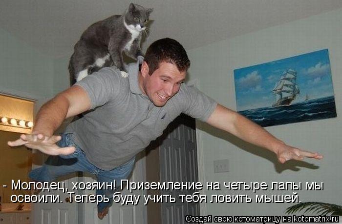 - Молодец, хозяин! Приземление на четыре лапы мы освоили. Теперь буду учить тебя ловить мышей.... Котоматрица: - Молодец, хозяин! Приземление на четыре лапы мы освоили. Теперь буду учить тебя ловить мышей.