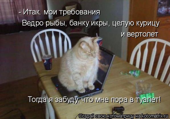 - Итак. мои требования Ведро рыбы, банку икры, целую курицу и вертолет Тогда я забуду, что мне пора в... Котоматрица: - Итак. мои требования Ведро рыбы, банку икры, целую курицу и вертолет Тогда я забуду, что мне пора в туалет!