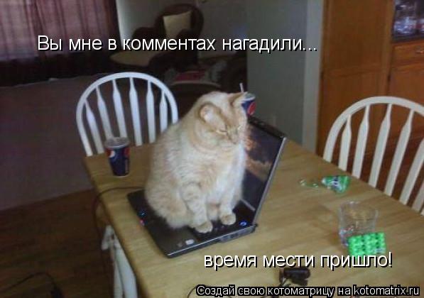 Вы мне в комментах нагадили... время мести пришло!... Котоматрица: Вы мне в комментах нагадили... время мести пришло!
