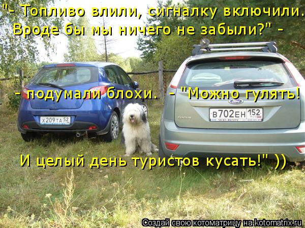 Котоматрица: "- Топливо влили, сигналку включили. Вроде бы мы ничего не забыли?" - - подумали блохи. Можно гулять! - подумали блохи.  - "Можно гулять! И целый де
