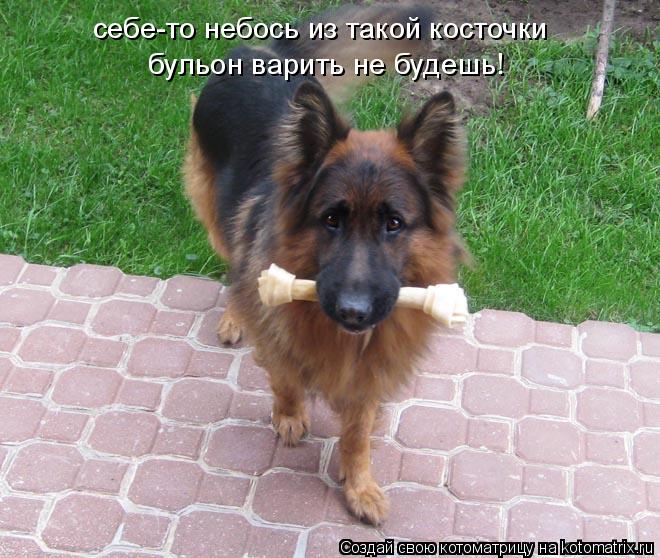 Котоматрица: себе-то небось из такой косточки бульон варить не будешь!
