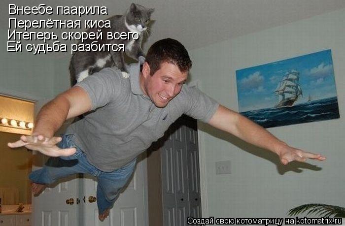 Внеебе паарила Перелётная киса Итеперь скорей всего Ей судьба разбится... Котоматрица: Внеебе паарила Перелётная киса Итеперь скорей всего Ей судьба разбится