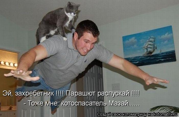 Эй, захребетник !!!! Парашют распускай !!!! - Тоже мне, котоспасатель Мазай......... Котоматрица: Эй, захребетник !!!! Парашют распускай !!!! - Тоже мне, котоспасатель Мазай......