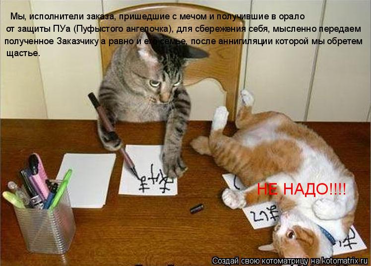 Котоматрица: Мы, исполнители заказа, пришедшие с мечом и получившие в орало  от защиты ПУа (Пуфыстого ангелочка), для сбережения себя, мысленно передаем п