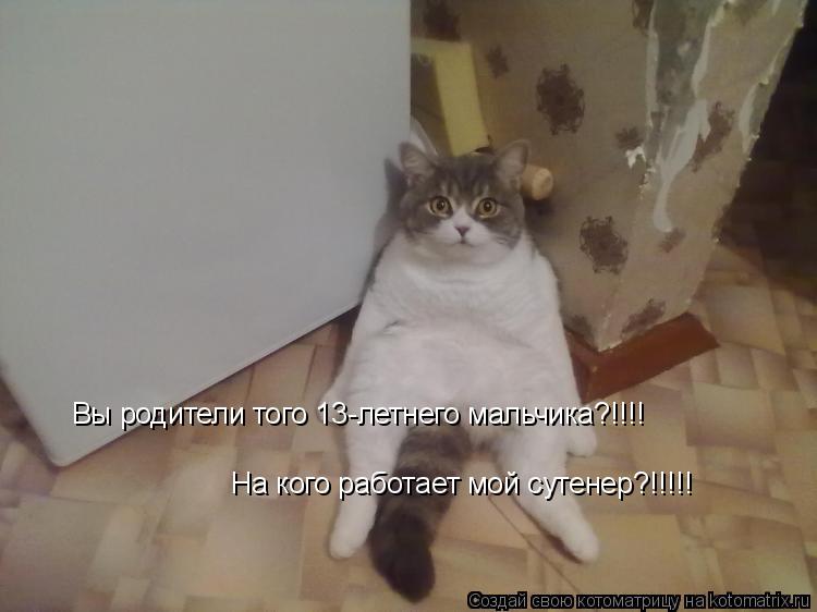 Котоматрица: Вы родители того 13-летнего мальчика?!!!! На кого работает мой сутенер?!!!!!