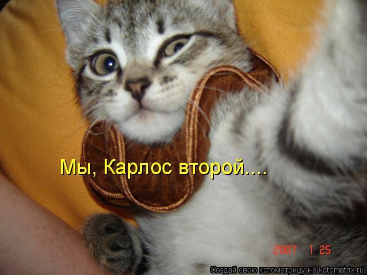 Котоматрица: Мы, Карлос второй....