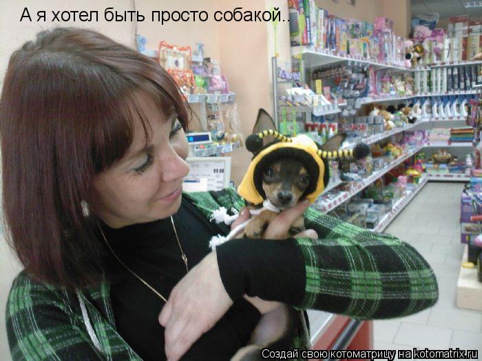 Котоматрица: А я хотел быть просто собакой..