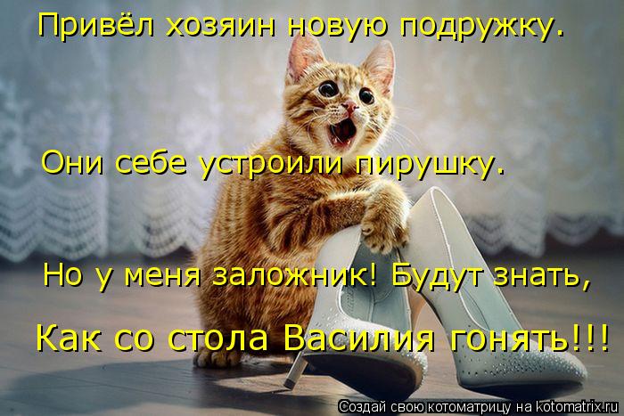 Привёл хозяин новую подружку. Они себе устроили пирушку. Но у меня заложник! Будут знать, Как со стол... Котоматрица: Привёл хозяин новую подружку. Они себе устроили пирушку. Но у меня заложник! Будут знать, Как со стола Василия гонять!!!