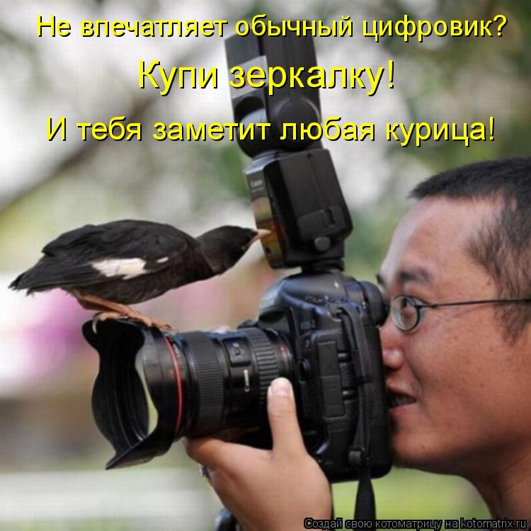 Не впечатляет обычный цифровик? Купи зеркалку! И тебя заметит любая курица!... Котоматрица: Не впечатляет обычный цифровик? Купи зеркалку! И тебя заметит любая курица!