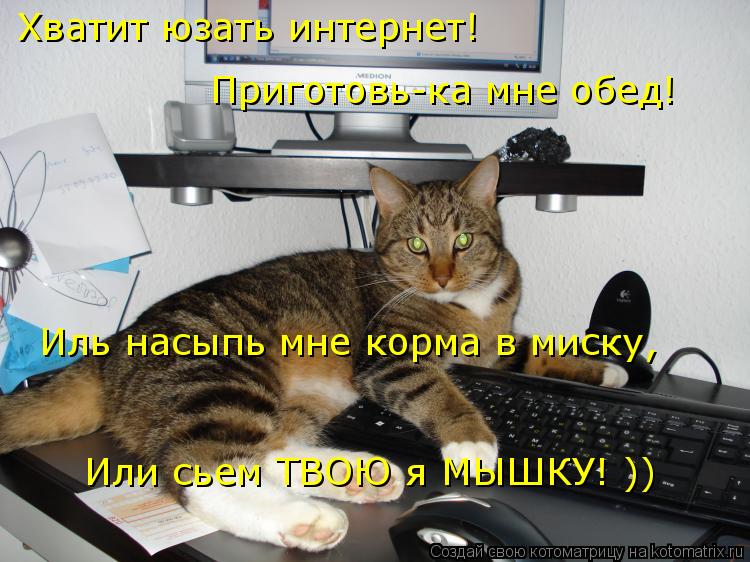 Котоматрица: Хватит юзать интернет! Приготовь-ка мне обед! Иль насыпь мне корма в миску, Или сьем ТВОЮ я МЫШКУ! ))