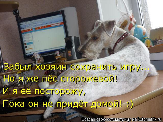 Котоматрица: Забыл хозяин сохранить игру... Но я же пёс сторожевой! И я её посторожу, Пока он не придёт домой! :)