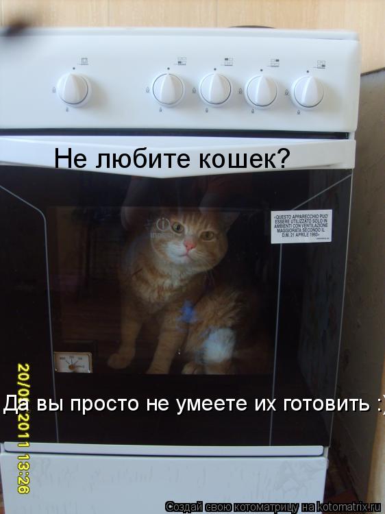 Котоматрица: Не любите кошек?  Да вы просто не умеете их готовить :)