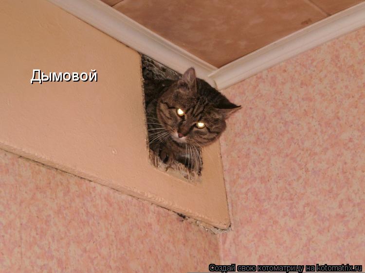 Котоматрица: Дымовой