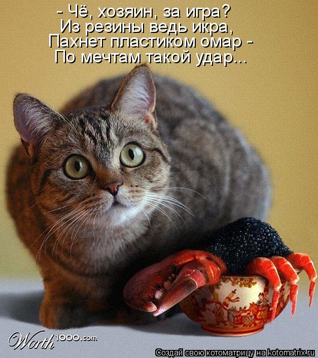 - Чё, хозяин, за игра? Из резины ведь икра, Пахнет пластиком омар - По мечтам такой удар...... Котоматрица: - Чё, хозяин, за игра? Из резины ведь икра, Пахнет пластиком омар - По мечтам такой удар...