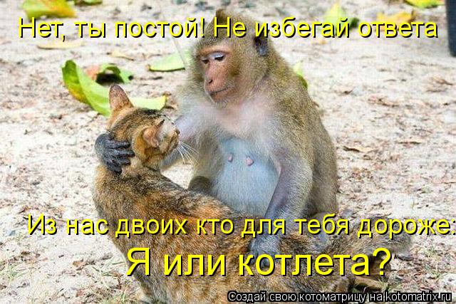 Нет, ты постой! Не избегай ответа Я или котлета? Из нас двоих кто для тебя дороже:... Котоматрица: Нет, ты постой! Не избегай ответа Я или котлета? Из нас двоих кто для тебя дороже: