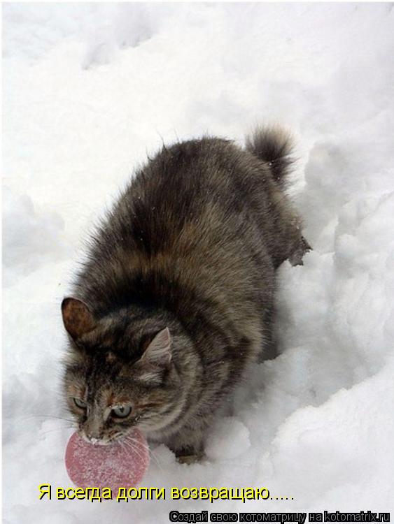 Котоматрица: Я всегда долги возвращаю.....