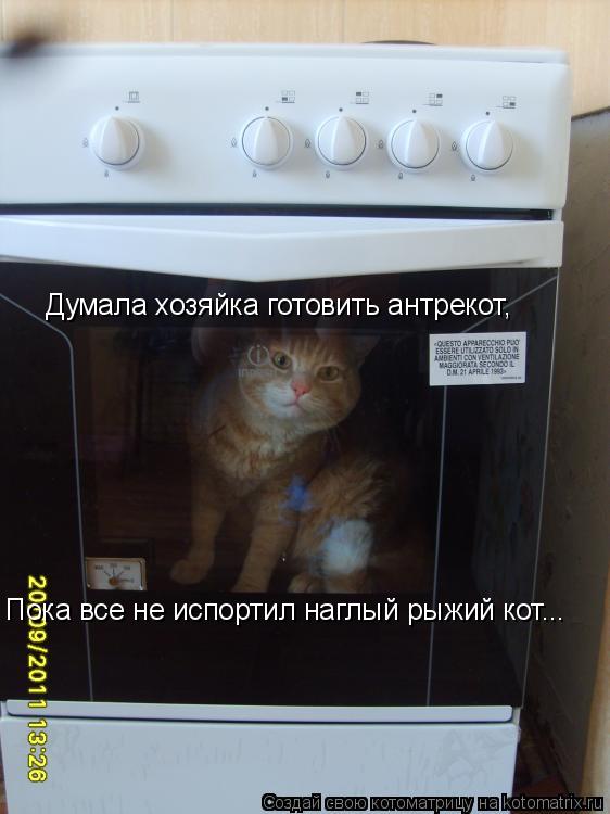 Думала хозяйка готовить антрекот, Пока все не испортил наглый рыжий кот...... Котоматрица: Думала хозяйка готовить антрекот, Пока все не испортил наглый рыжий кот...