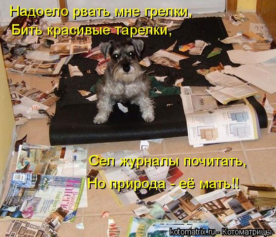 Надоело рвать мне грелки, Бить красивые тарелки, Сел журналы почитать, Но природа - её мать!!... Котоматрица: Надоело рвать мне грелки, Бить красивые тарелки, Сел журналы почитать, Но природа - её мать!!