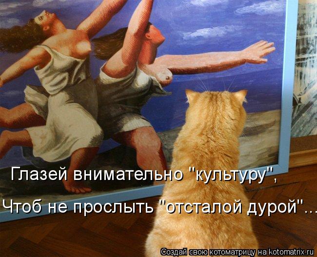 Глазей внимательно "культуру", Чтоб не прослыть "отсталой дурой"...... Котоматрица: Глазей внимательно "культуру", Чтоб не прослыть "отсталой дурой"...