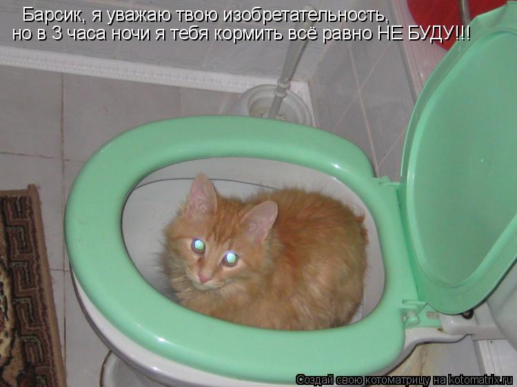 Барсик, я уважаю твою изобретательность, но в 3 часа ночи я тебя кормить всё равно НЕ БУДУ!!!... Котоматрица: Барсик, я уважаю твою изобретательность, но в 3 часа ночи я тебя кормить всё равно НЕ БУДУ!!!