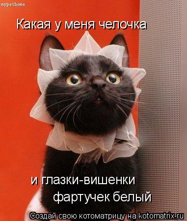 Какая у меня челочка и глазки-вишенки фартучек белый... Котоматрица: Какая у меня челочка и глазки-вишенки фартучек белый