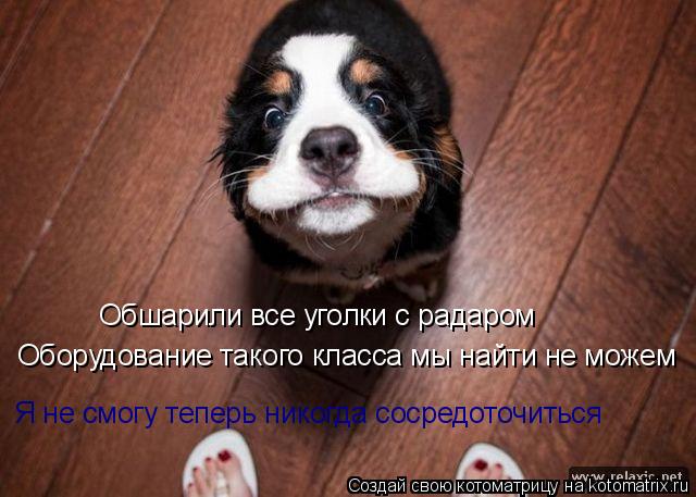 Обшарили все уголки с радаром Оборудование такого класса мы найти не можем Я не смогу теперь никогда ... Котоматрица: Обшарили все уголки с радаром Оборудование такого класса мы найти не можем Я не смогу теперь никогда сосредоточиться