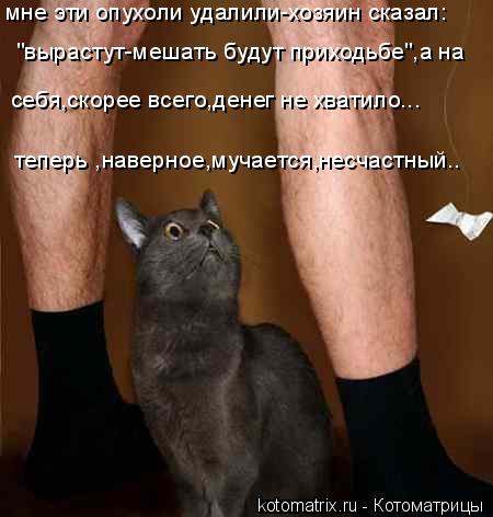 мне эти опухоли удалили-хозяин сказал: "вырастут-мешать будут приходьбе",а на себя,скорее всего,денег... Котоматрица: мне эти опухоли удалили-хозяин сказал: "вырастут-мешать будут приходьбе",а на себя,скорее всего,денег не хватило... теперь ,наверное,мучается