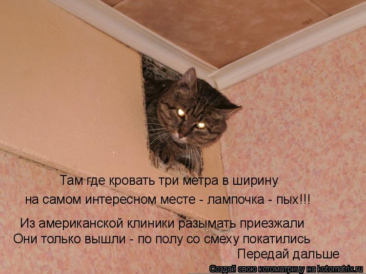 Там где кровать три метра в ширину на самом интересном месте - лампочка - пых!!! Из американской клин... Котоматрица: Там где кровать три метра в ширину на самом интересном месте - лампочка - пых!!! Из американской клиники разымать приезжали Они только вышли -