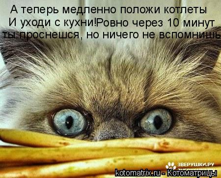 А теперь медленно положи котлеты И уходи с кухни! Ровно через 10 минут ты проснешся, но ничего не всп... Котоматрица: А теперь медленно положи котлеты И уходи с кухни! Ровно через 10 минут ты проснешся, но ничего не вспомнишь!