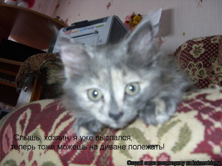 Котоматрица: Слышь, хозяин, я уже выспался, теперь тоже можешь на диване полежать!
