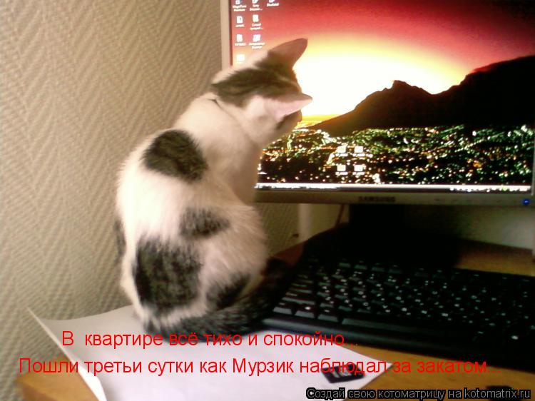 Котоматрица: В  квартире всё тихо и спокойно... Пошли третьи сутки как Мурзик наблюдал за закатом...