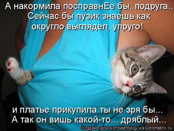 Котоматрица: А так он вишь какой-то... дряблый... А накормила посправнЕе бы, подруга... и платье прикупила ты не зря бы... Сейчас бы пузик знаешь как округло в