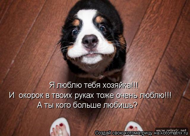 Котоматрица: Я люблю тебя хозяйка!!! И  окорок в твоих руках тоже очень люблю!!! А ты кого больше любишь?