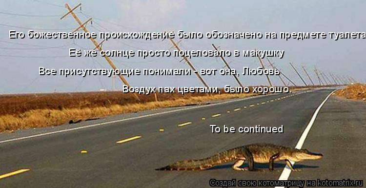 Его божественное происхождение было обозначено на предмете туалета, Её же солнце просто поцеловало в ... Котоматрица: Его божественное происхождение было обозначено на предмете туалета, Её же солнце просто поцеловало в макушку Все присутствующие понимали