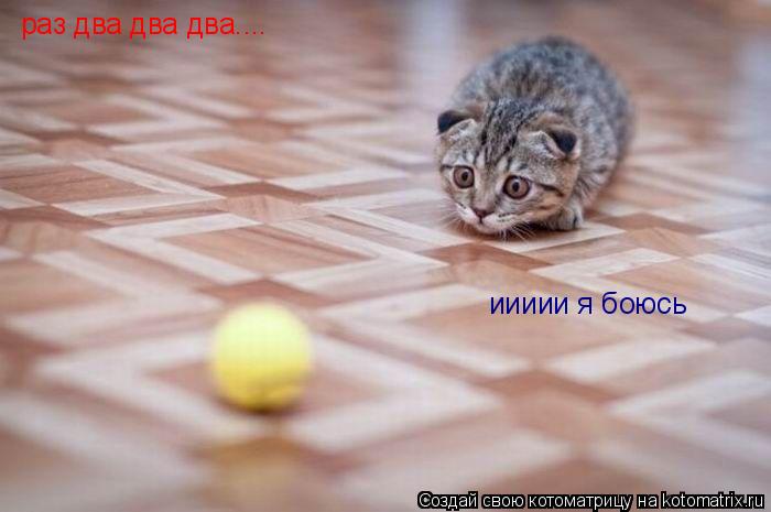 раз два два два.... иииии я боюсь... Котоматрица: раз два два два.... иииии я боюсь