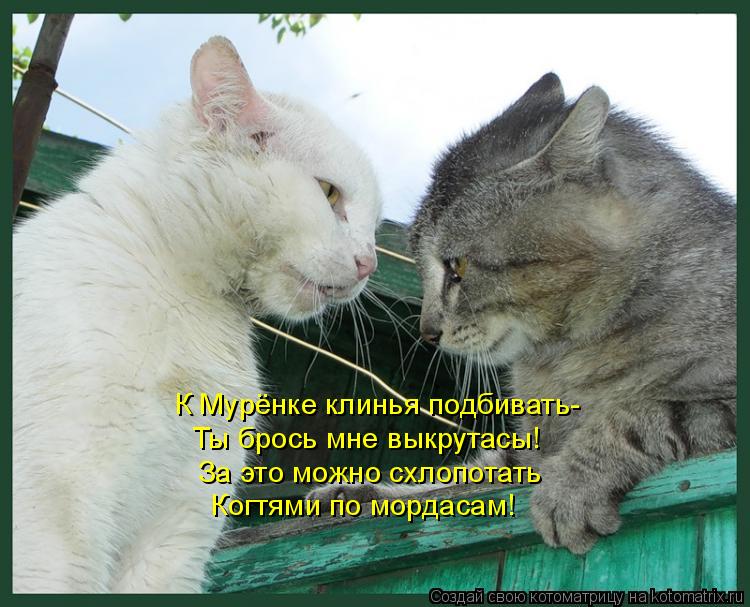 Котоматрица: К Мурёнке клинья подбивать- Ты брось мне выкрутасы! За это можно схлопотать Когтями по мордасам!