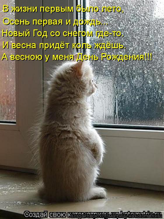 В жизни первым было лето, Осень первая и дождь... Новый Год со снегом где-то. И весна придёт коль ждё... Котоматрица: В жизни первым было лето, Осень первая и дождь... Новый Год со снегом где-то. И весна придёт коль ждёшь. А весною у меня День Рождения!!!