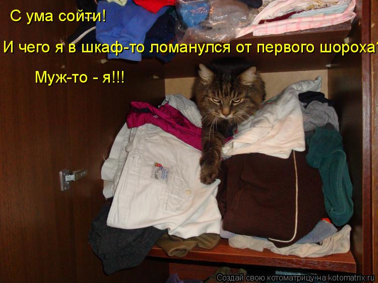 С ума сойти! И чего я в шкаф-то ломанулся от первого шороха?! Муж-то - я!!!... Котоматрица: С ума сойти! И чего я в шкаф-то ломанулся от первого шороха?! Муж-то - я!!!