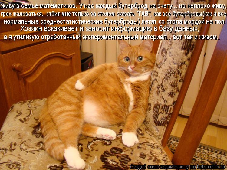 живу в семье математиков. У нас каждый бутерброд на счету... но неплохо живу, грех жаловаться... стОи... Котоматрица: живу в семье математиков. У нас каждый бутерброд на счету... но неплохо живу, грех жаловаться... стОит мне только за столом "ГАВ" сказать, как в