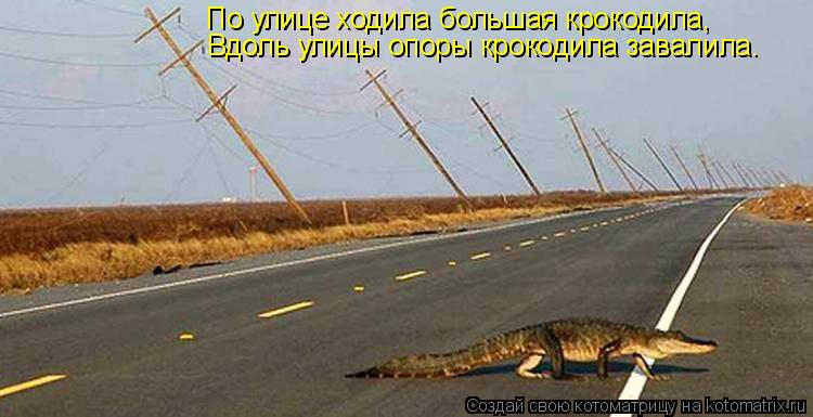 Котоматрица: По улице ходила большая крокодила, Вдоль улицы опоры крокодила завалила.