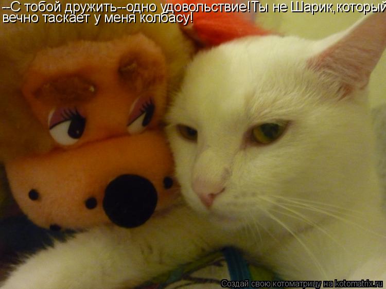 --С тобой дружить--одно удовольствие!Ты не Шарик,который вечно таскает у меня колбасу!... Котоматрица: --С тобой дружить--одно удовольствие!Ты не Шарик,который вечно таскает у меня колбасу!