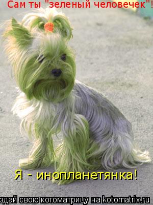 Сам ты "зеленый человечек"! Я - инопланетянка!... Котоматрица: Сам ты "зеленый человечек"! Я - инопланетянка!