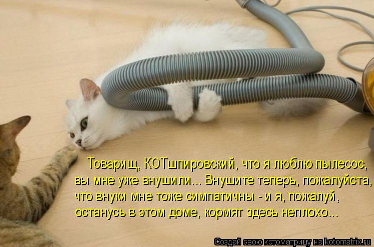 Товарищ, КОТшпировский, что я люблю пылесос, вы мне уже внушили... Внушите теперь, пожалуйста, что ... Котоматрица: Товарищ, КОТшпировский, что я люблю пылесос, вы мне уже внушили... Внушите теперь, пожалуйста, что внуки мне тоже симпатичны - и я, пожалуй, ос