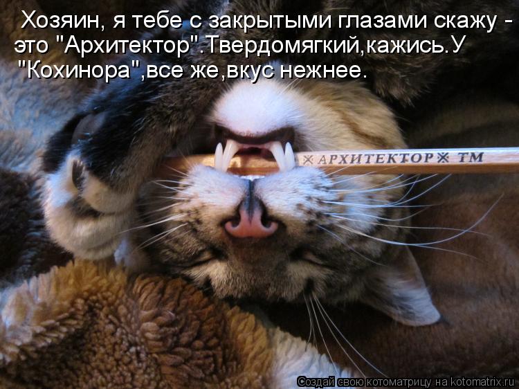Хозяин, я тебе с закрытыми глазами скажу - это "Архитектор".Твердомягкий,кажись.У "Кохинора",все же,... Котоматрица: Хозяин, я тебе с закрытыми глазами скажу - это "Архитектор".Твердомягкий,кажись.У "Кохинора",все же,вкус нежнее.