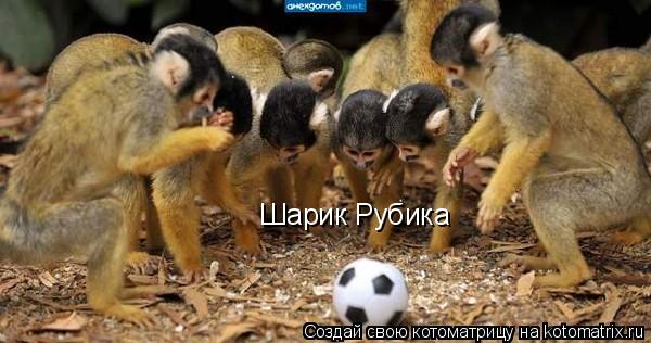 Шарик Рубика... Котоматрица: Шарик Рубика